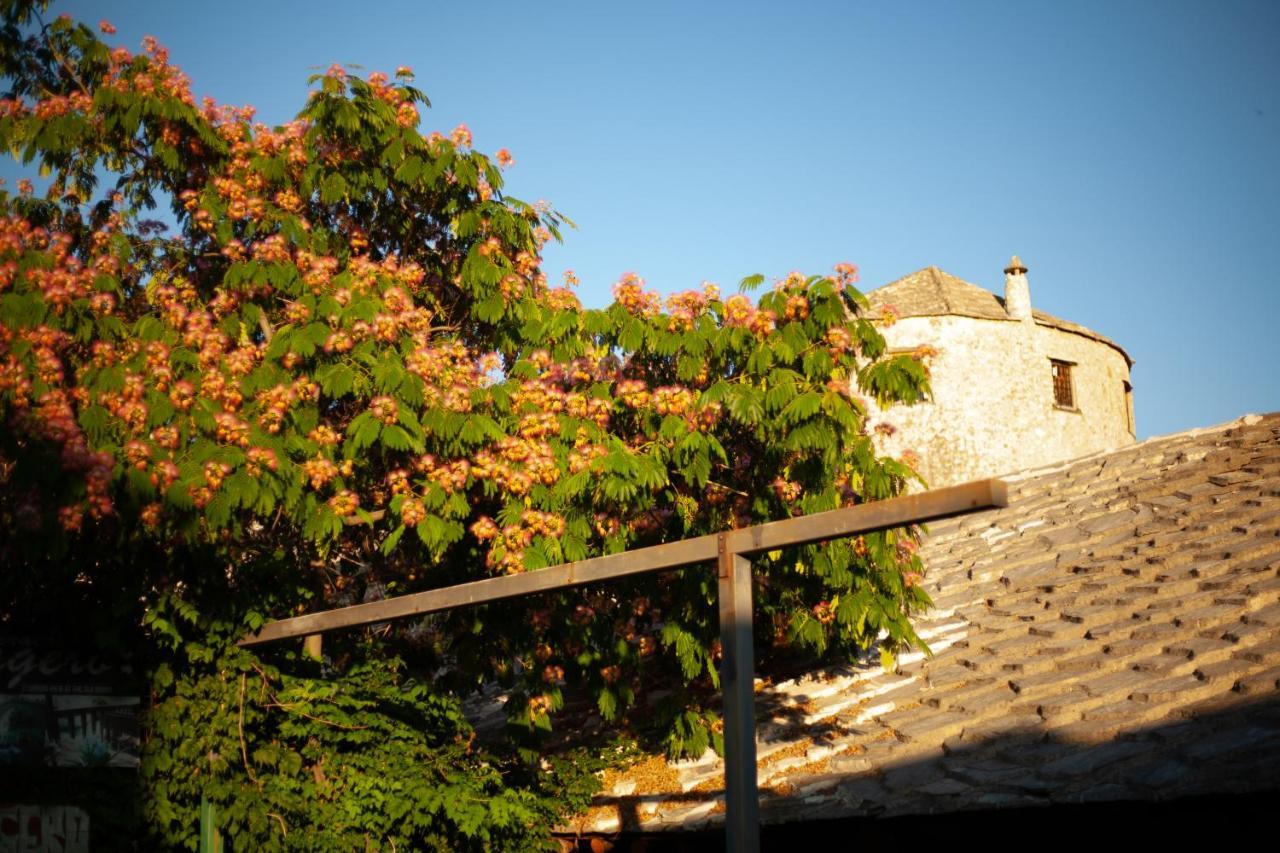 Apartments Azra Mostar Dış mekan fotoğraf